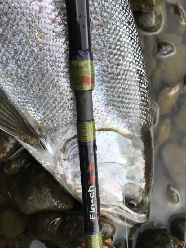 Fin-Ch CANARIA 68ML Bait Rod - 7 SEAS PROSHOP (THAILAND)