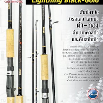 Berkley Lightning Rod Black-Gold #LBRO-S1002MH (Spinning) - 7 SEAS